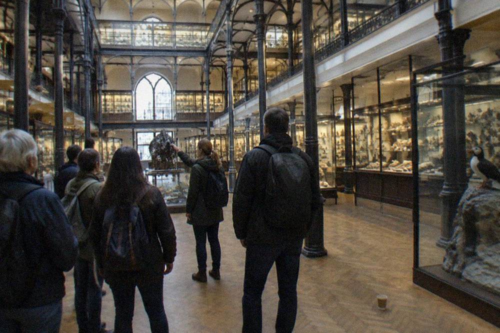 Grand gallery hall with cast iron columns and three storeys of museum displays